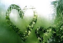 柏林赫塔迎战FC乌尔姆，主场保持不败势在必行