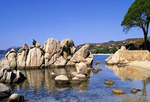 鲁能外援逐渐完善，备战残酷的中超竞争